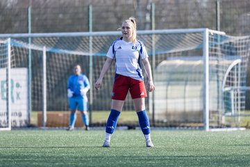Bild 65 - F Hamburger SV 3 - Blau-Weiss 96 : Ergebnis: 5:1